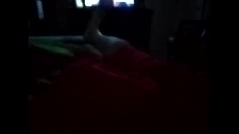 Snapshot of viciouzz1 chatting on November 11, 11:27 pm viciouzz1 online show from November 11, 11:27 pm