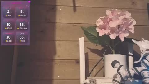 vickyvalencia2 online show from July 3, 3:13 am
