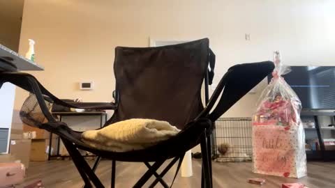 victoryd007 online show from February 22, 7:25 pm