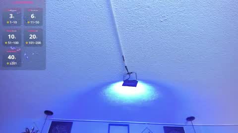 Viiolett online show from February 24, 1:24 am