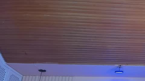 Viiolett online show from October 1, 8:26 pm