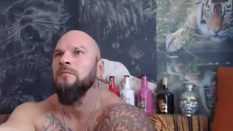 viking online show from November 5, 8:14 am