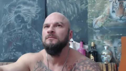 viking online show from November 8, 7:56 pm