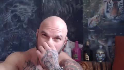 viking online show from November 12, 11:10 am