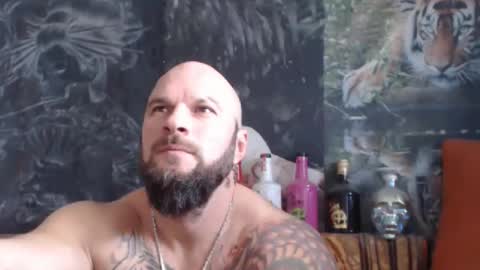 viking online show from November 18, 7:46 am