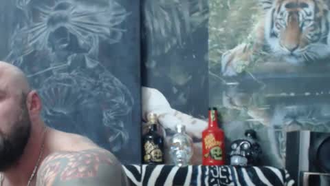 viking online show from April 19, 6:10 pm