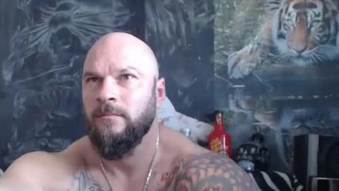 viking online show from April 20, 6:16 am