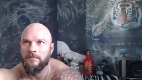 viking online show from April 22, 6:38 am