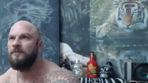 viking online show from April 22, 6:53 pm