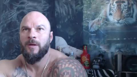 viking online show from April 23, 6:58 am