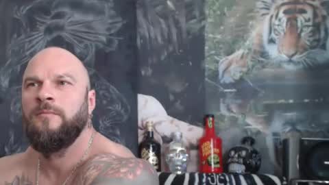 viking online show from April 24, 10:50 am