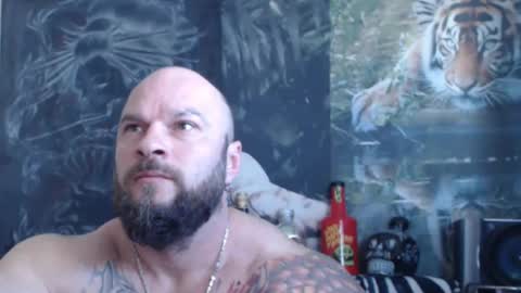 viking online show from April 26, 6:33 am