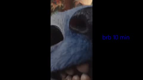 vinkitinkii online show from February 6, 4:50 am