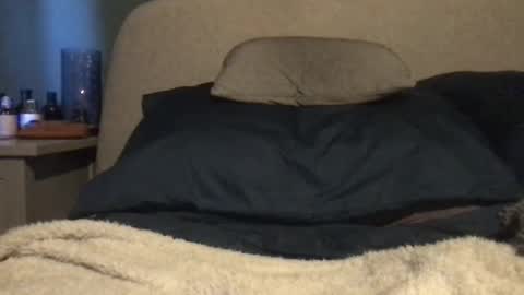 Snapshot of vinny440 chatting on March 3, 11:00 am Vinny online show from March 3, 11:00 am