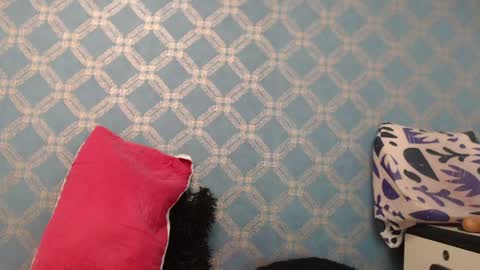 Snapshot of violeta_cute18 chatting on January 10, 10:15 pm Violeta online show from January 10, 10:15 pm