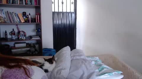 Violeta Peter online show from February 23, 8:33 pm