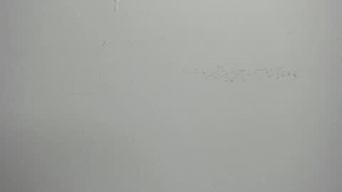 violett_24_ online show from March 1, 11:39 am