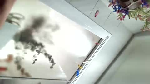 Viv online show from December 6, 11:54 am