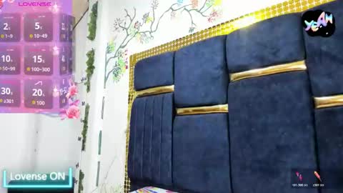 Snapshot of vskayper chatting on October 26, 12:33 pm skay online show from October 26, 12:33 pm