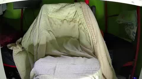 Kentaro online show from November 12, 5:30 am