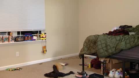 COSMOxWANDA online show from March 3, 1:23 am