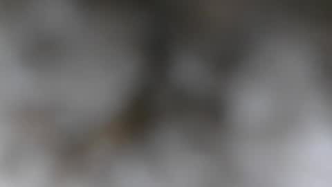 wantmymantofukme online show from October 21, 6:19 pm