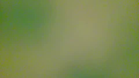 watchplaycum online show from October 8, 11:24 pm