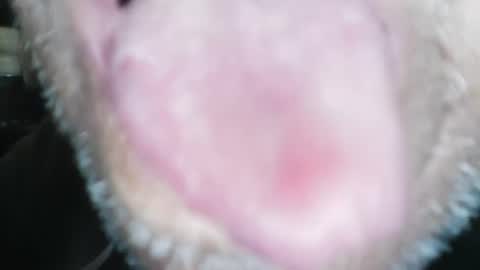 wayne1311 online show from January 23, 4:26 pm