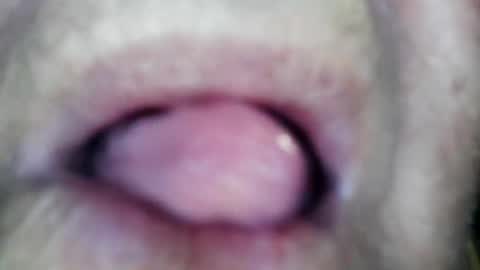 wayne1311 online show from January 13, 2:22 pm