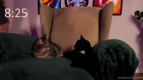 waynenorth online show from February 22, 3:21 pm