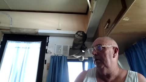 wazahardon2 online show from September 20, 3:51 am