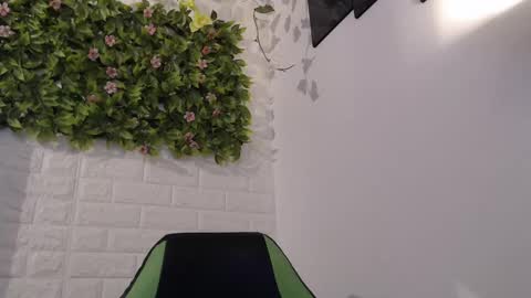 Trixie 3 online show from February 11, 2:46 pm