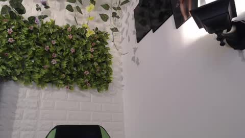 Trixie 3 online show from February 17, 7:42 pm