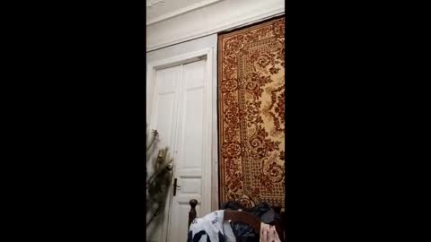 Marina online show from February 26, 4:14 pm