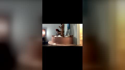 Mrmrs VIP online show from March 19, 11:53 pm