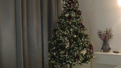 Snapshot of wellicaren chatting on January 8, 12:47 pm CAREN online show from January 8, 12:47 pm