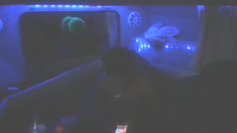 Snapshot of wetdreamsz101 chatting on January 19, 8:51 am wetdreamz101 online show from January 19, 8:51 am