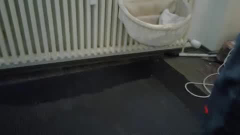 Wetgerman online show from March 11, 3:45 pm