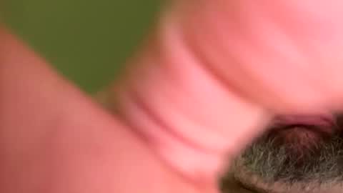 wheels700 online show from February 26, 8:00 pm