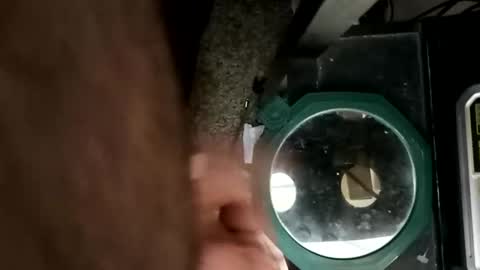 whetedoyouwantmetoputit online show from March 10, 5:18 pm