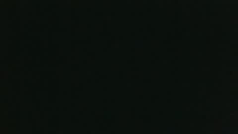 whitehead_lion online show from December 15, 8:24 pm