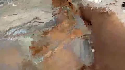 whitelava_4u online show from November 30, 8:18 am