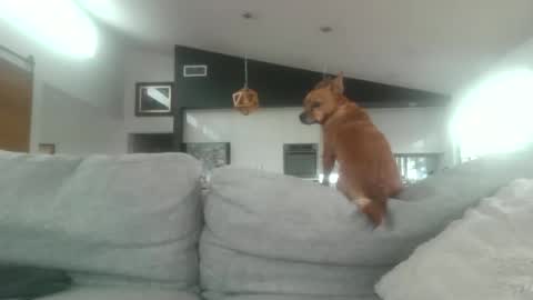 whitepantieman online show from January 28, 10:12 pm