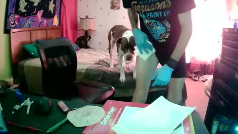 Snapshot of wichitawes chatting on November 6, 7:15 pm Wichita Wes online show from November 6, 7:15 pm