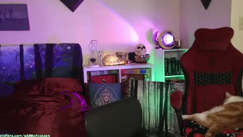 Snapshot of widthofapeach chatting on July 21, 2:47 am Gretchen Jimmy online show from July 21, 2:47 am