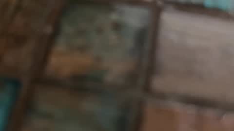 VI online show from February 10, 10:19 am