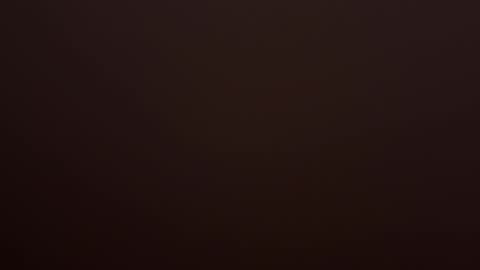 VI online show from February 14, 10:23 am