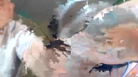 WikiBitch online show from October 10, 9:25 pm