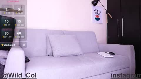 Snapshot of wild_col chatting on September 16, 11:28 pm wild_col online show from September 16, 11:28 pm