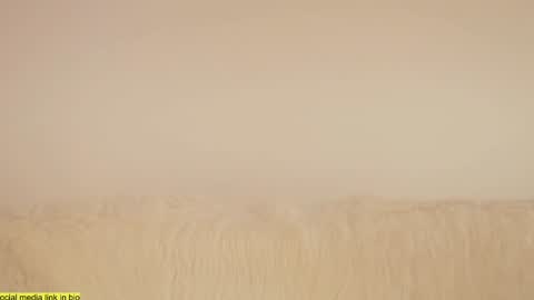 Snapshot of wild_schoolgirl chatting on January 18, 9:45 pm wild_schoolgirl online show from January 18, 9:45 pm